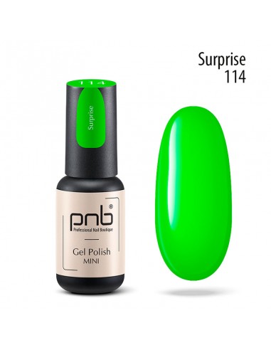 PNB Esmalte semipermanente mini - 114...