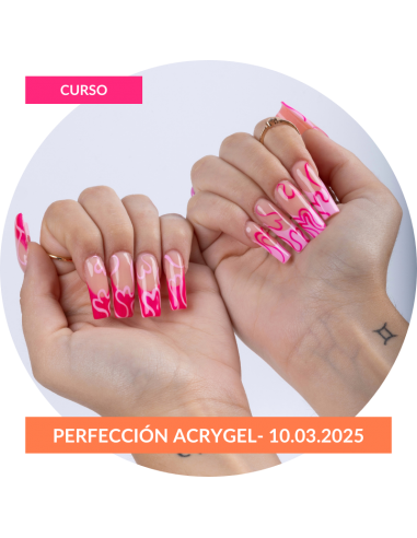 Curso de Perfeccionamiento de...